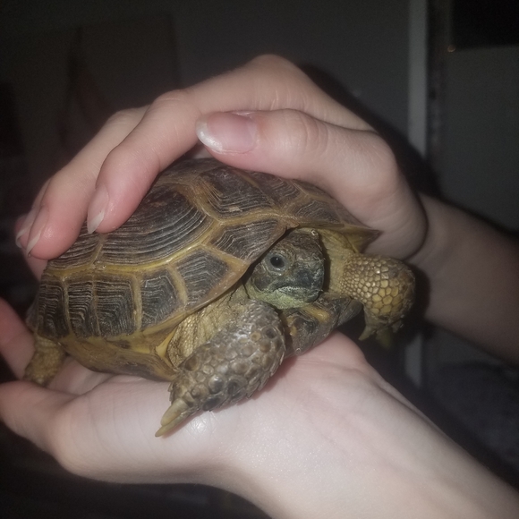 Meet your Posh Ambassador, C - Picture 11 of 16